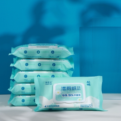 Biodegradable Antibacterial Disinfection Wipes For Wet toilet paper
